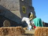 LES MEDIEVALES DE FOS SUR MER 