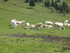 C COMME COL DE PEYRESOURDE - H