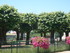 C COMME CONFOLENS - CHARENTE -