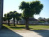 L COMME LESSAC - CHARENTE - FR