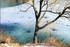 LE MOT DU GLOBE TROTTEUR