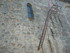 A COMME ABZAC - CHARENTE - FRA