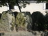 E COMME ESSE - CHARENTE - FRAN