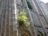 L COMME LESTERPS - CHARENTE - 