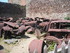 O COMME ORADOUR SUR GLANE (2) 
