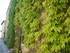 B COMME BRIGUEUIL - CHARENTE -