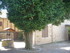 B COMME BRIGUEUIL - CHARENTE -
