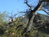 DES VIGNES ET BRODERIES