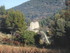 DES VIGNES ET BRODERIES