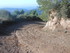 DES VIGNES ET BRODERIES