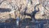 DES VIGNES ET BRODERIES