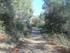 DES VIGNES ET BRODERIES