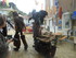LES MEDIEVALES DE MORNAS (2) -