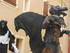 LES MEDIEVALES DE MORNAS (2) -