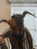 LES MEDIEVALES DE MORNAS (2) -