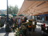 N COMME NICE (3) - ALPES MARIT