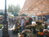 N COMME NICE (3) - ALPES MARIT