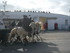 A COMME ABRIVADOS AUX SAINTES 