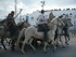 A COMME ABRIVADOS AUX SAINTES 
