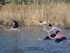 P COMME PONT DE GAU - BOUCHES 