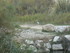 P COMME PONT DE GAU (2) - BOUC