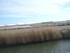 A COMME AIGUES MORTES, LA PESC
