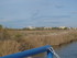 A COMME AIGUES MORTES, LA PESC