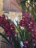 L COMME LE GRAND PALAIS (2) - 