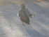 S COMME SIGEAN (6) - AUDE - FR