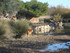 S COMME SIGEAN (7) - AUDE - FR