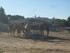 S COMME SIGEAN (8) - AUDE - FR