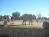 S COMME SIGEAN (9) - AUDE - FR