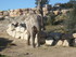 S COMME SIGEAN (9) - AUDE - FR