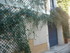 N COMME NARBONNE - AUDE - FRAN