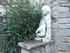 SUR LES TRACES DE GIONO