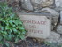 SUR LES TRACES DE GIONO