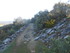 SUR LES TRACES DE GIONO