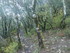 SUR LES TRACES DE GIONO