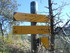 SUR LES TRACES DE GIONO