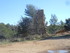 SUR LES TRACES DE GIONO
