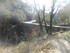 SUR LES TRACES DE GIONO