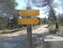 SUR LES TRACES DE GIONO