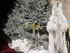 N COMME NARBONNE (7) - AUDE - 