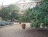 A COMME ABBAYE DE VILLELONGUE 