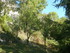 R COMME ROCAMADOUR - LOT - FRA