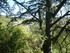R COMME ROCAMADOUR (6) - LOT -