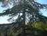 R COMME ROCAMADOUR (7) - LOT -