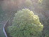 R COMME ROCAMADOUR (9) - LOT -
