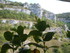 R COMME ROCAMADOUR (10) - LOT 