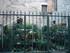 G COMME GRAMAT - LOT - FRANCE
